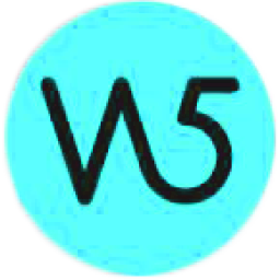 WSX5 Logo neu